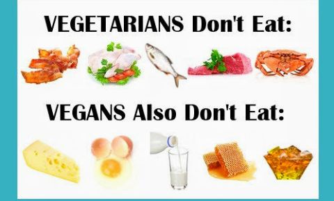 Vegan Or Vegetarian Diet: What You Need To Know
